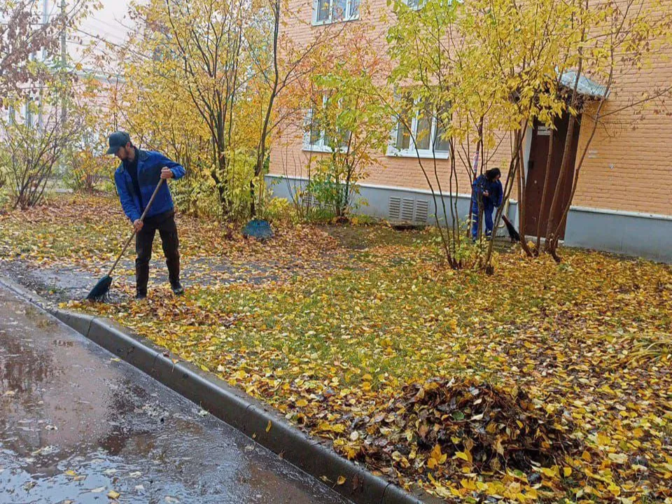 Фото:&nbsp;ООО «ДГХ»