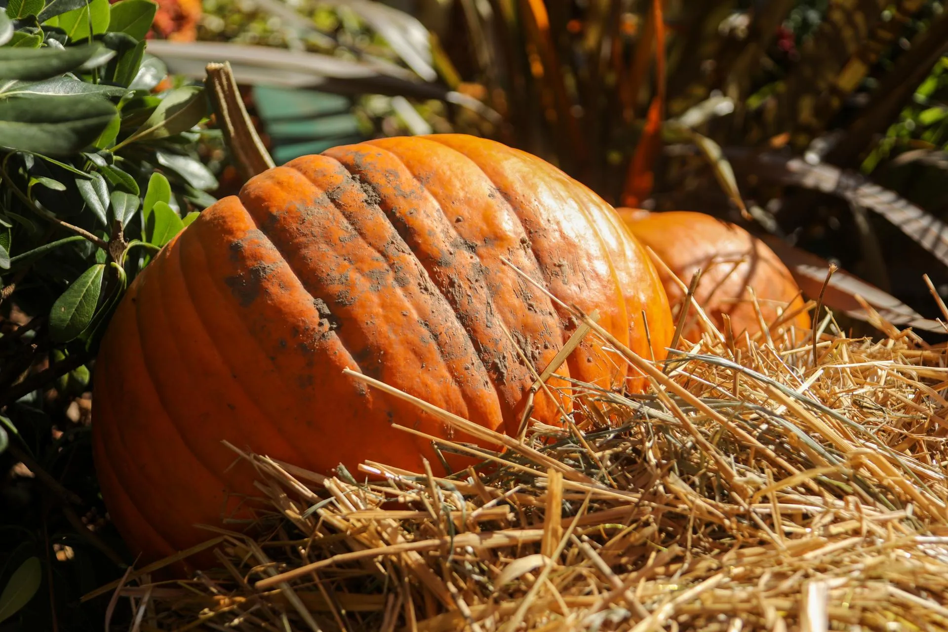 Seleznev Pavel/news.ru