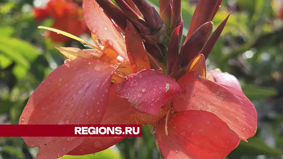 Фото: Андрей Семибратов