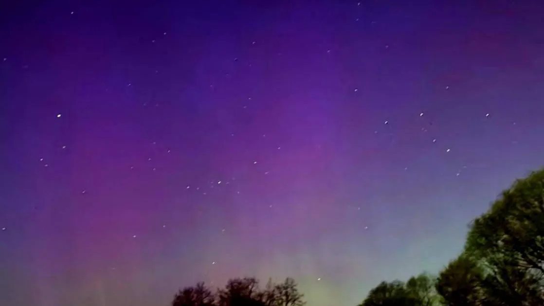 МедиаБанк Подмосковья/Дмитрий Зайчиков