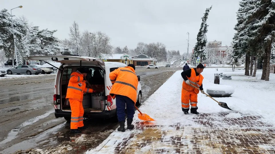 Фото: МедиаБанк Подмосковья/Дмитрий Алексеенко