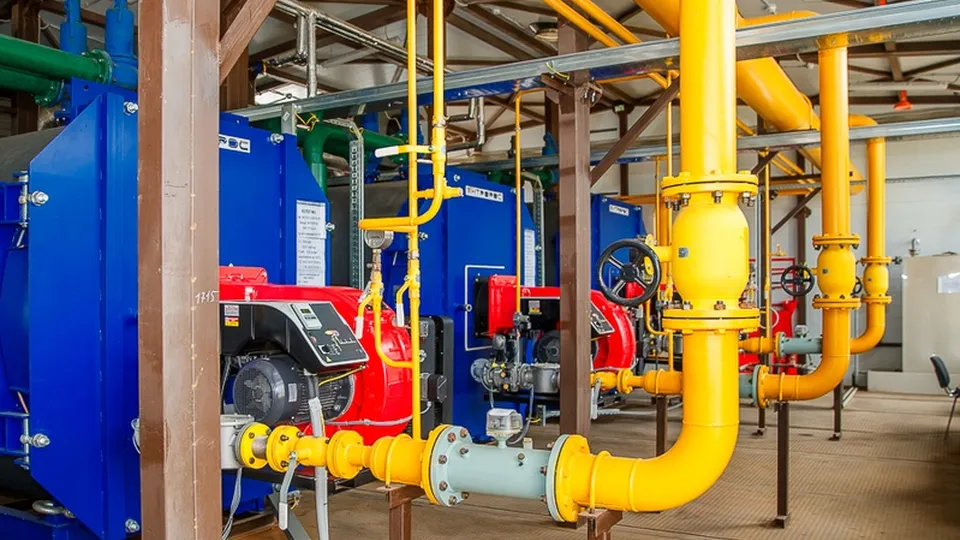 Фото: пресс-служба администрации Одинцовского городского округа