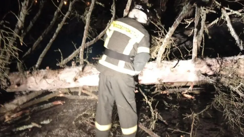 Фото: ГКУ МО «Мособлпожспас»