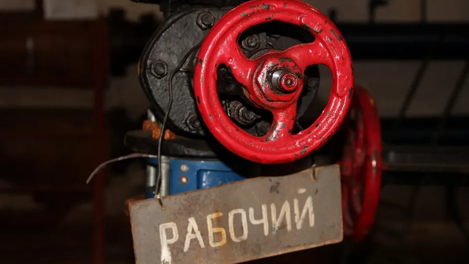 Фото: Александр Дрожжин