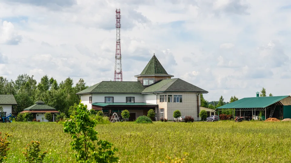 Фото: медиасток.рф