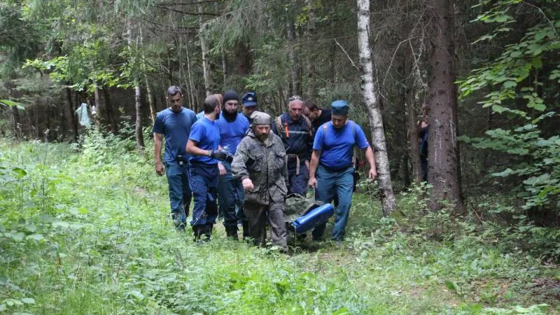 Почти 900 потеряшек вывели из леса спасатели МО с начала года