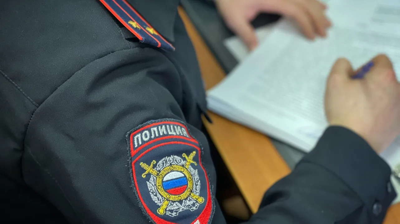 фото: Пресс-служба  УМВД России по Ленинскому г.о.
