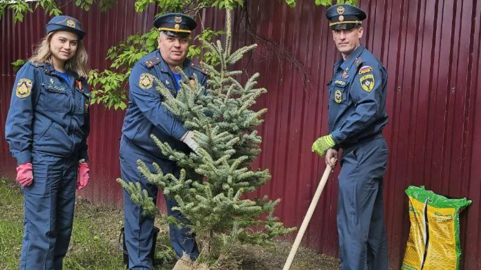 Фото: отдел надзорной деятельности и профилактической работы по городскому округу Пушкинский