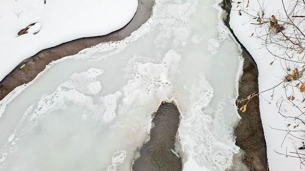 REGIONS/Юлия Габбасова