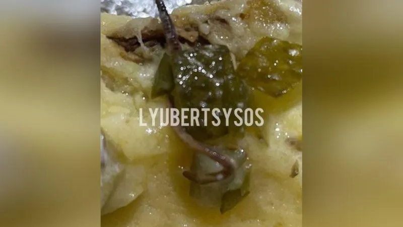 Огромного червяка в запеченной картошке из кафе обнаружили жители Люберец