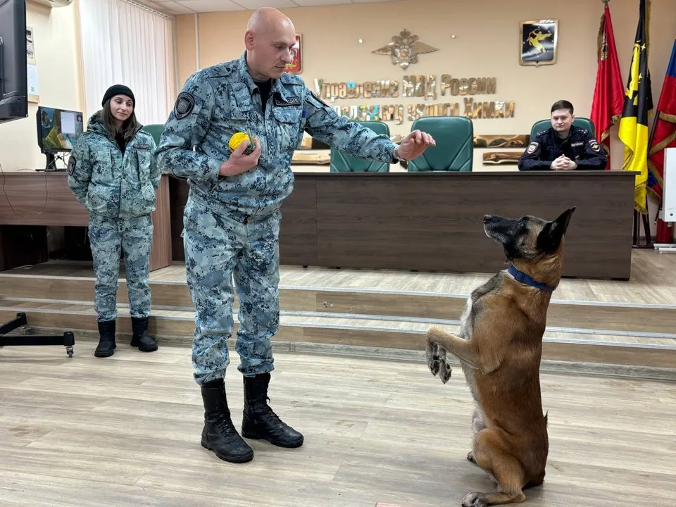 Фото: УМВД России по г.о. Химки&nbsp;&nbsp;