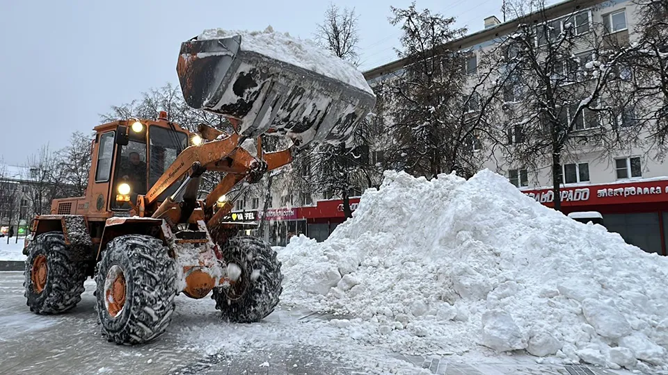 Фото: МедиаБанк Подмосковья/Кристина Тришина