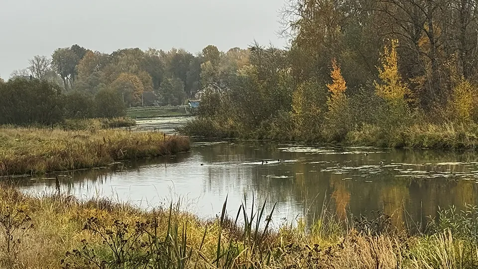 Фото: МедиаБанк Подмосковья/Татьяна Сташенко