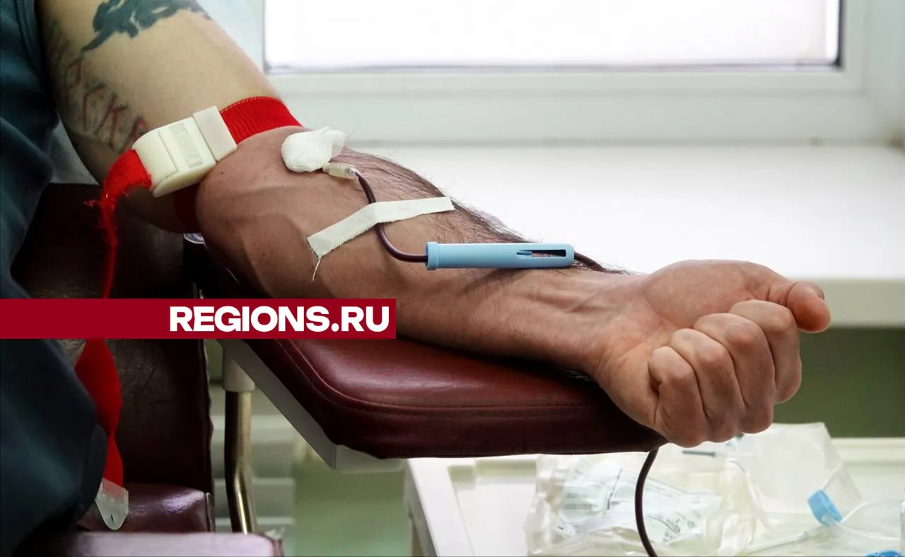 Фото: Дарья Леонова