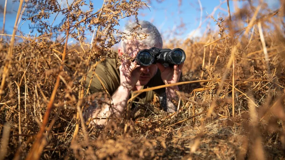 Фото: freepik.com