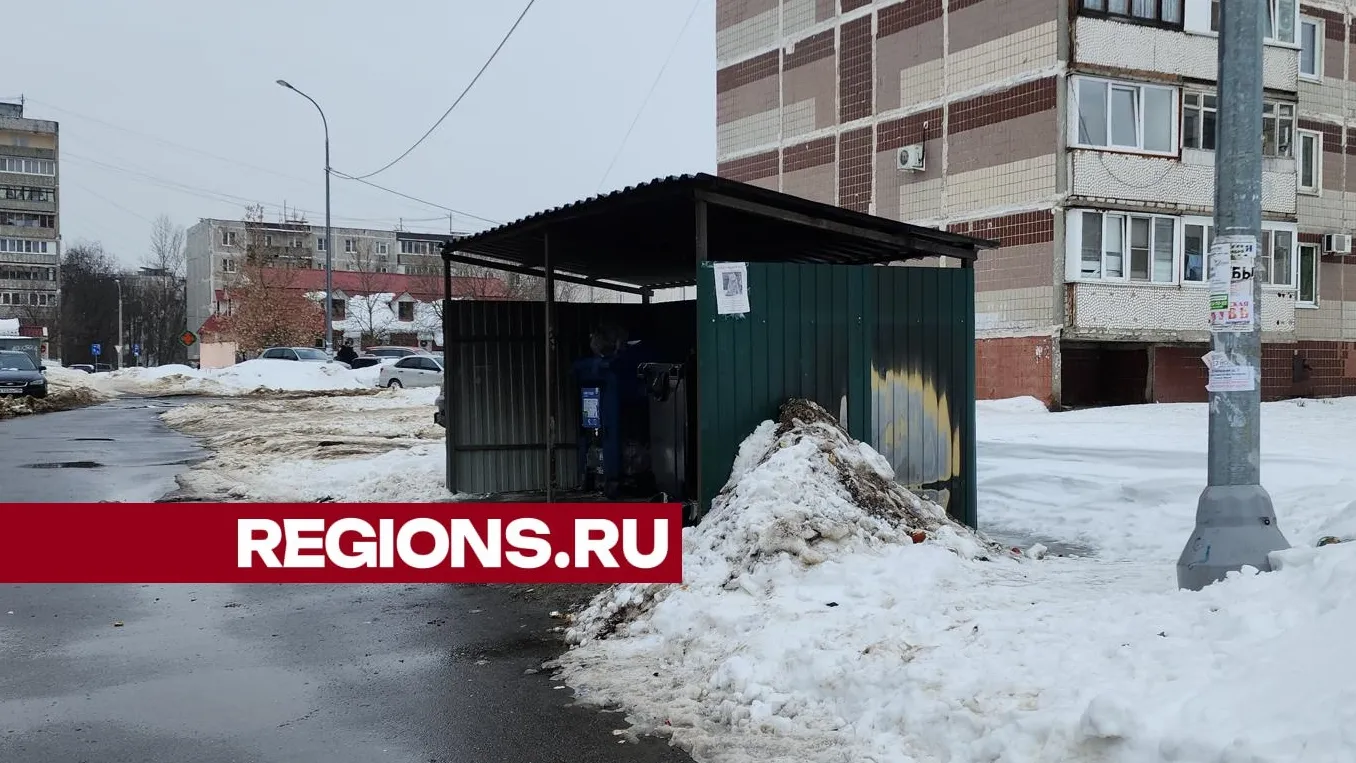 Фото: Нина Басистая