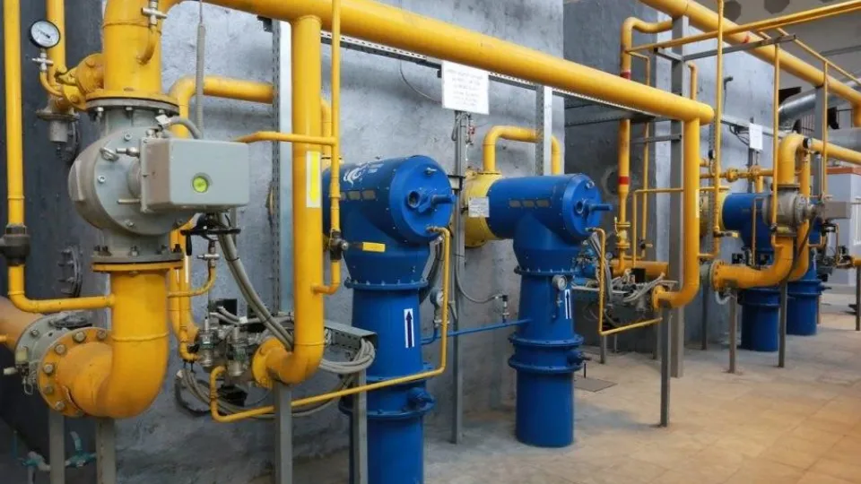 Фото: Раменский медиацентр