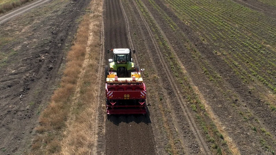 Фото: freepik.com