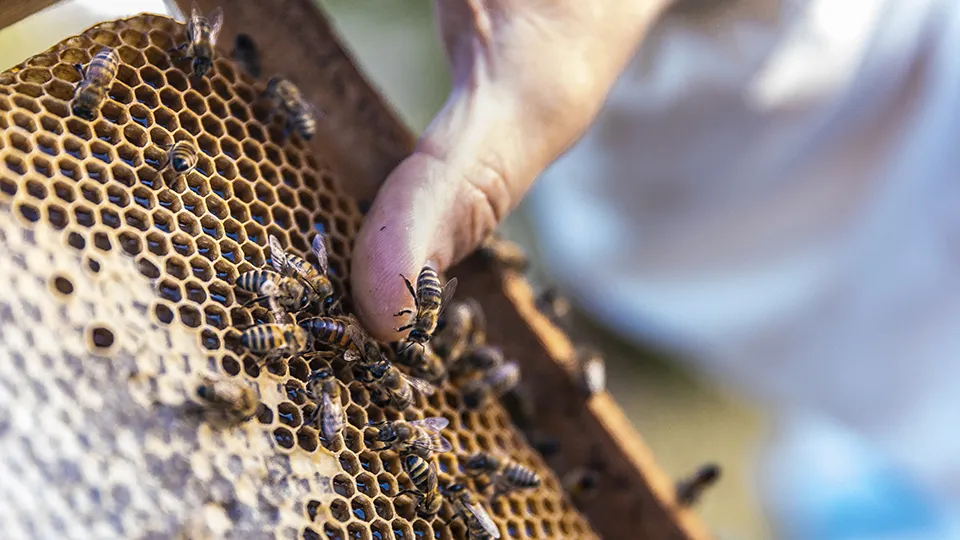 Фото: freepik.com