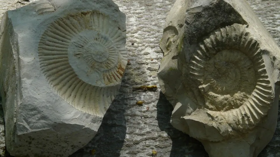 Фото: pxhere.com