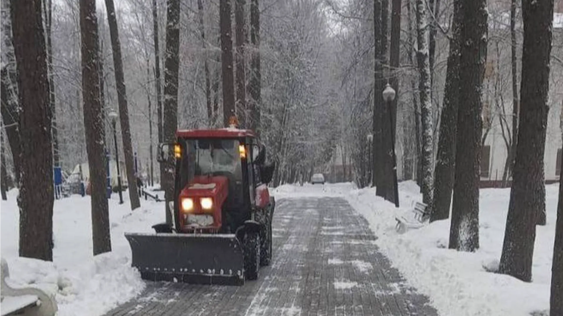 Фото: пресс-служба администрации г.о. Мытищи