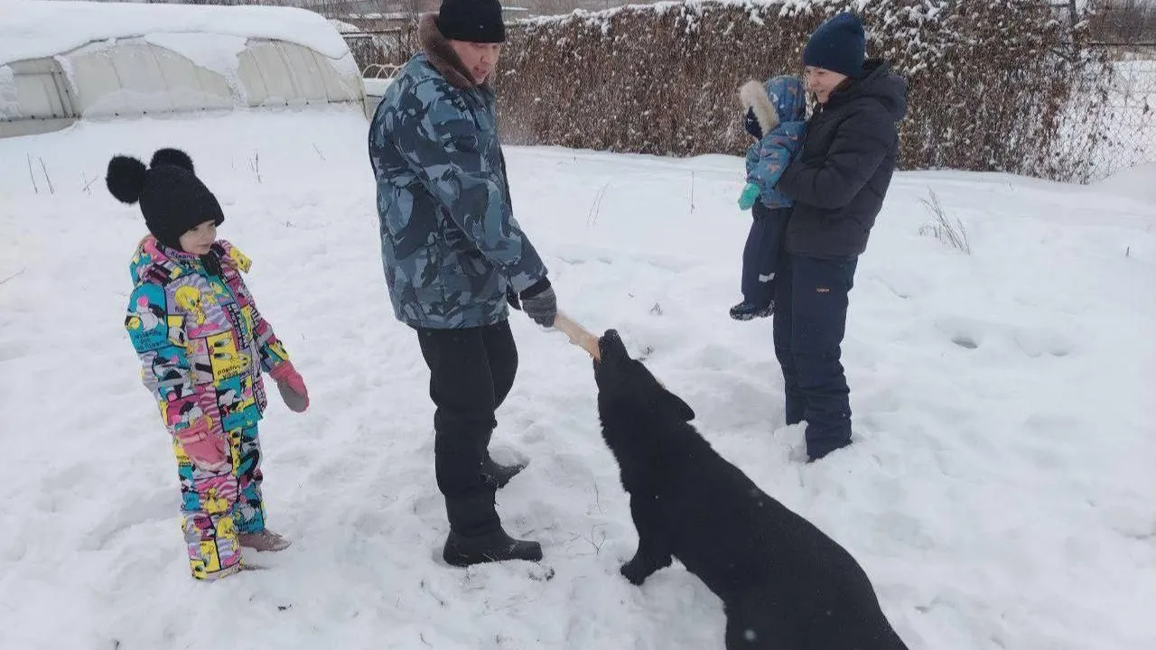 ОМВД России по г.о. Кашира