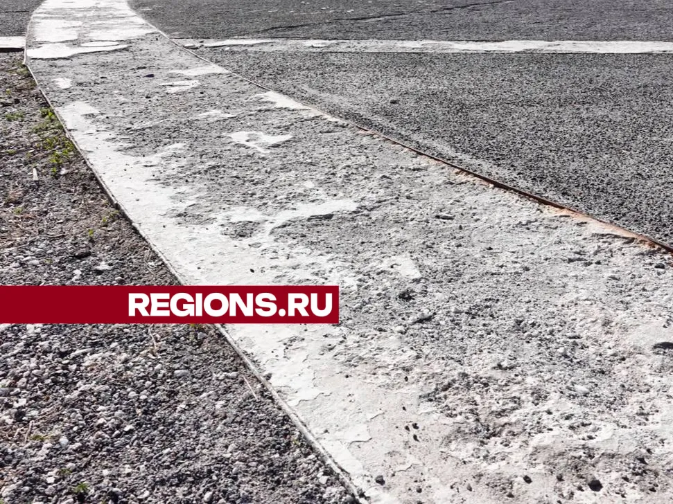 Фото: Дарья Леонова