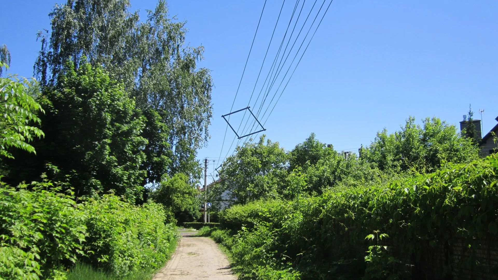 Фото: Олег Книжник