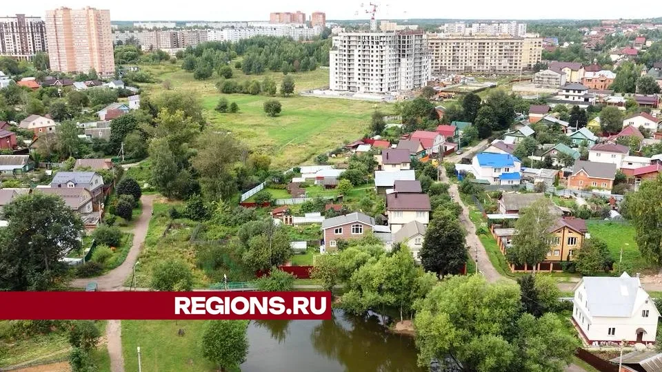 Фото: Дарья Леонова