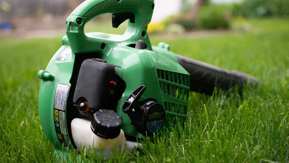 Фото: istockphoto.com