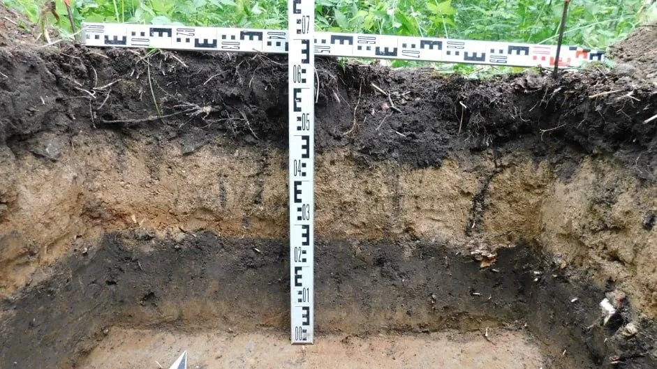 Фото: Главное управление культурного наследия МО