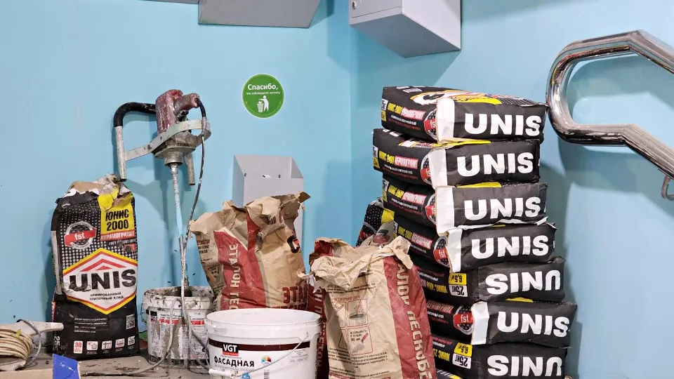 Фото: REGIONS/Елена Шумакова