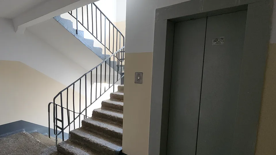 Фото: МедиаБанк Подмосковья/Валерия Тингаева