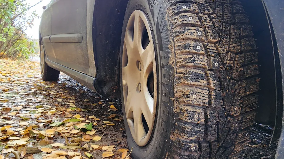 Фото: МедиаБанк Подмосковья/Марина Анисимова