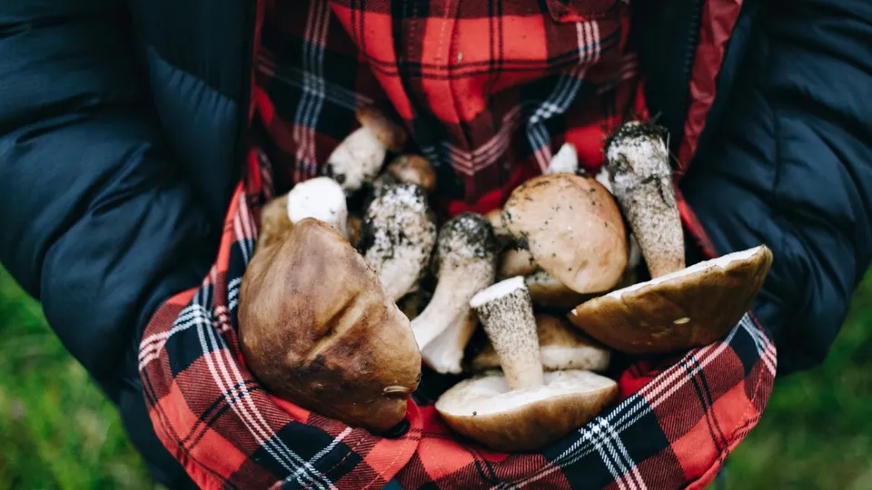 Фото: freepik.com