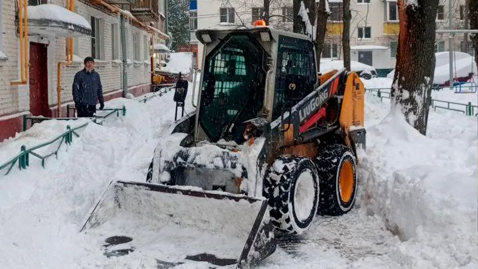 Фото: пресс-служба администрации г.о. Химки