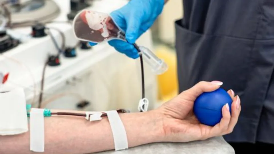 Фото: медиасток.рф