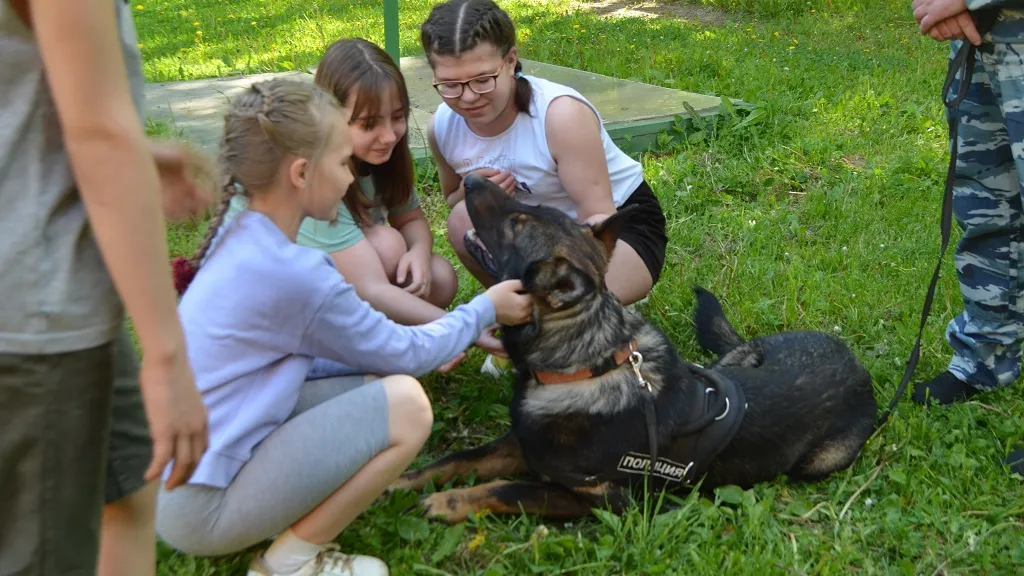 Фото: Наро-Фоминская полиция