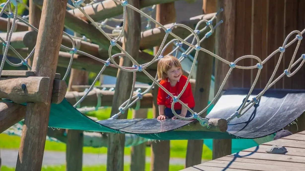 Фото: Министерство благоустройства МО