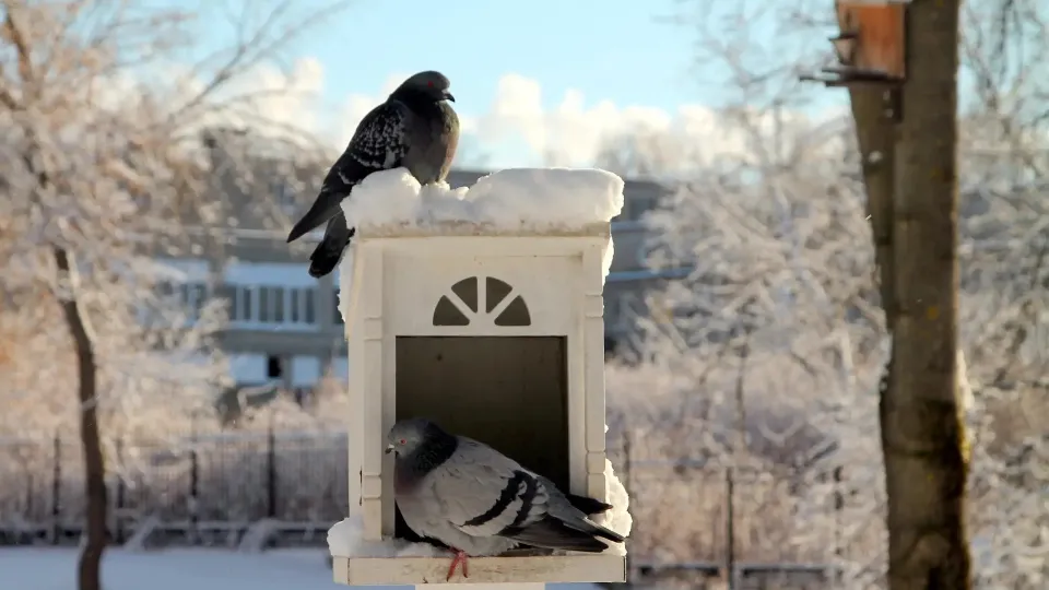 REGIONS/Наталья Дорофеева