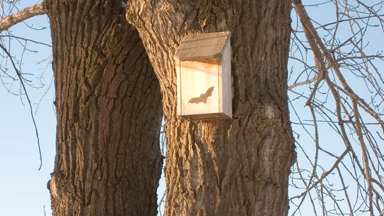 istockphoto.com/aleroy4