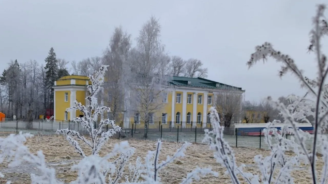 Фото: t.me/ParkVerbilki