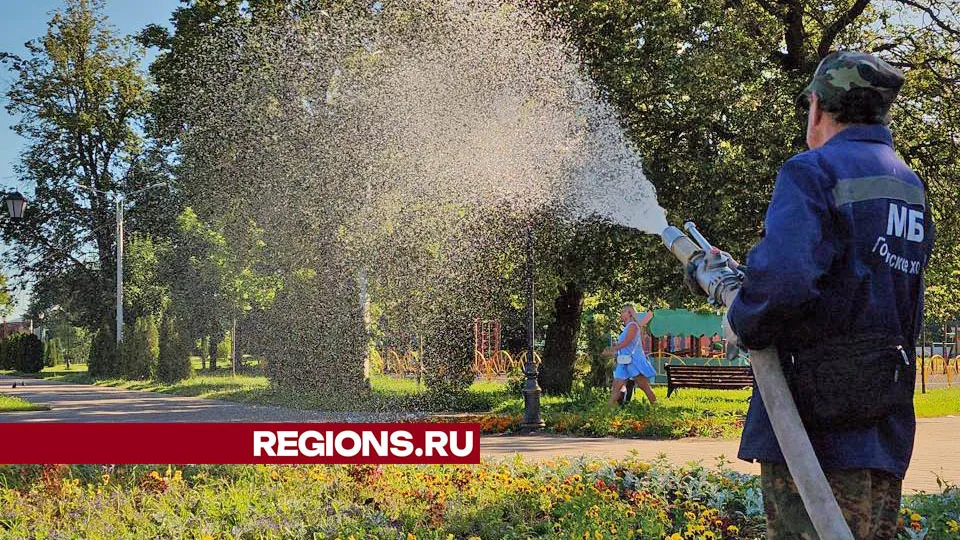 Фото: Валерия Тингаева