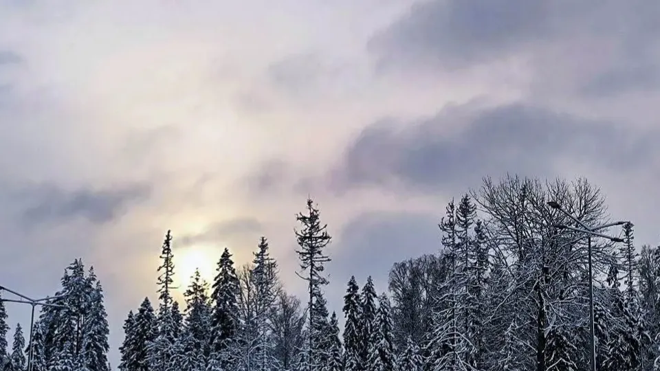 REGIONS/Роман Малышенко