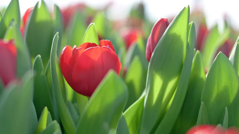 РИА Новости Тома Ивахненко