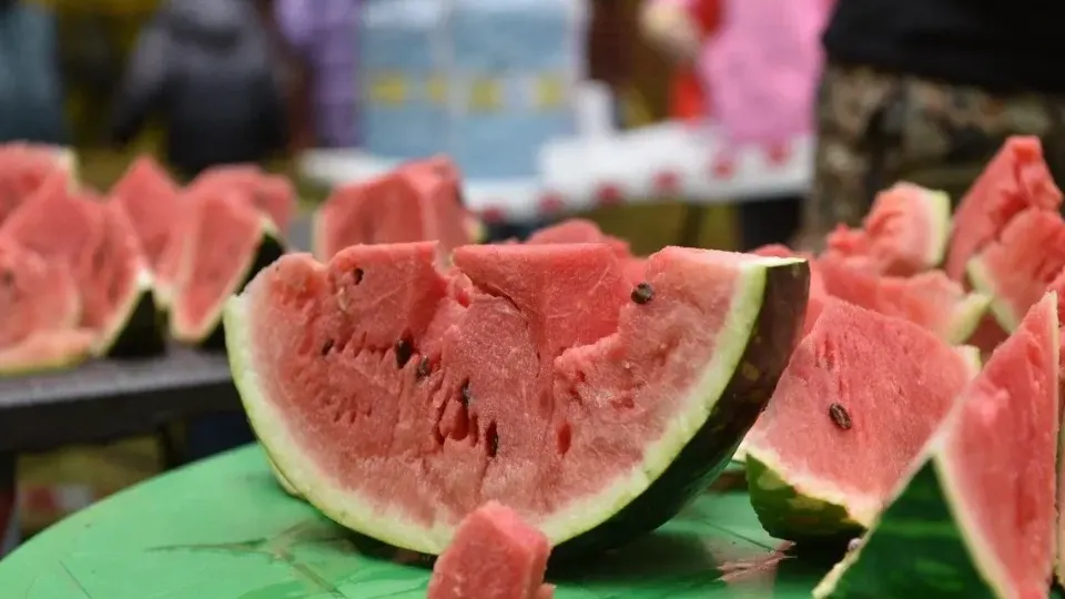 Фото: пресс-служба администрации Балашихи