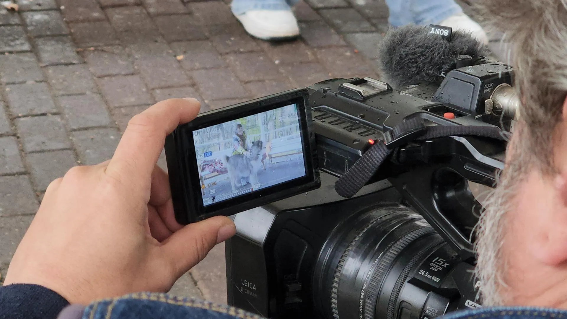 Источник: Алена Притула