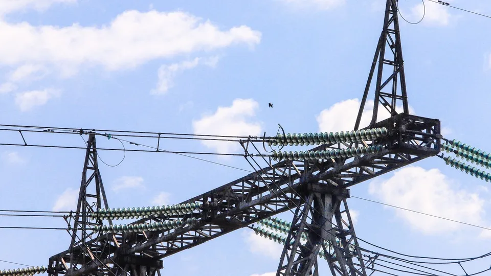 Фото: пресс-служба администрации г. о. Кашира