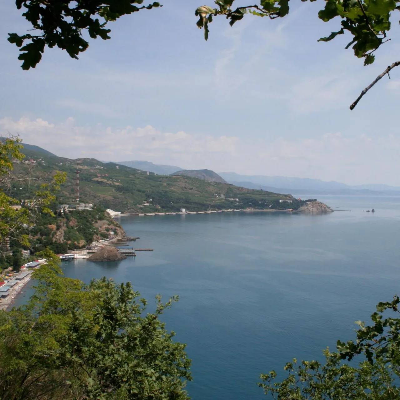 Server Amzayev/Russian Look