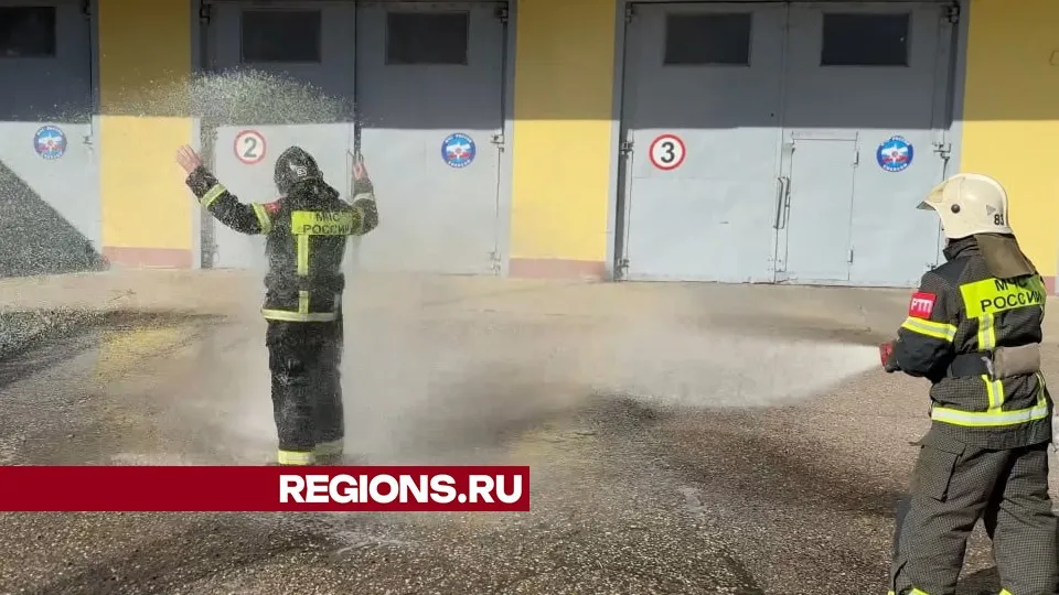 Фото: Дмитрий Зайчиков